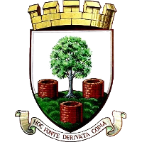 logo of Wells City FC