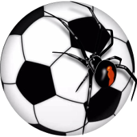 logo of Buninyong Redbacks SC