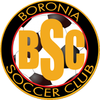 logo of Boronia SC