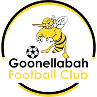 logo of Goonellabah FC