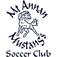 logo of Mt Annan Mustangs SC