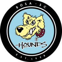 logo of BOSA SC