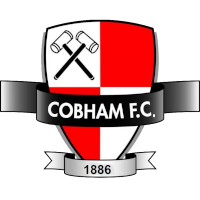 logo of Cobham FC