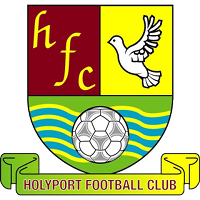 logo of Holyport FC