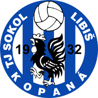 logo of TJ Sokol Libiš