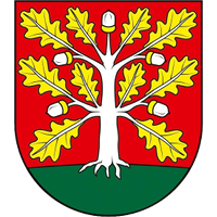 logo of TJ Dubinné