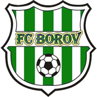 logo of TJ Družstevník Borov