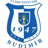 logo of TJ Družstevník Budimír