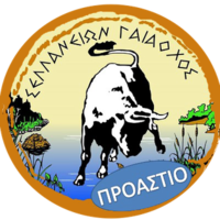 logo of AO Sellana
