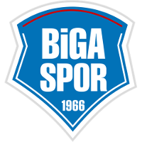 logo of Bigaspor