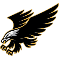 logo of Soesdyke Falcon FC