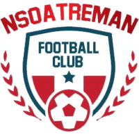 old logo of Nsoatreman FC