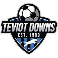 logo of Teviot Downs SC