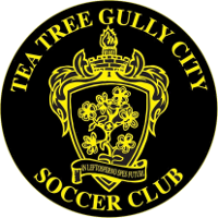 logo of Tea Tree Gully City SC