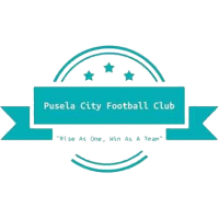 logo of Pusela City FC