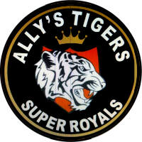logo of Ally's Tigers FC