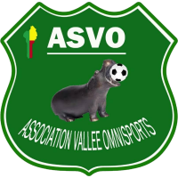 logo of AS Vallée Omnisports