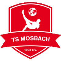 logo of Türkspor Mosbach