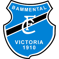logo of FC Victoria Bammental