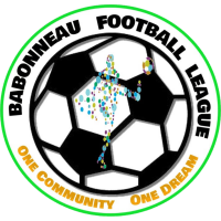 logo of Babonneau
