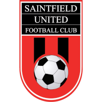 logo of Saintfield United FC
