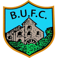 logo of Ballynahinch United FC