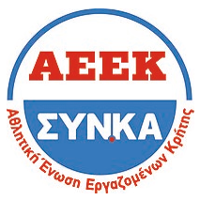 logo of AEEK SYN.KA