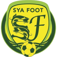logo of Sya Foot