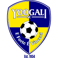 logo of Yoogali SC