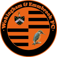 old logo of Wokingham Town FC
