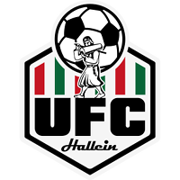 logo of UFC Hallein