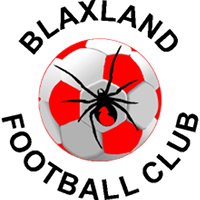 logo of Blaxland FC