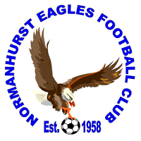 logo of Normanhurst Eagles FC