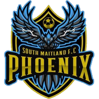 logo of South Maitland FC