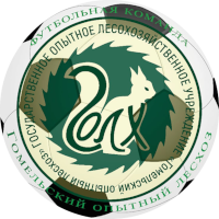 old logo of FK Lieschoz