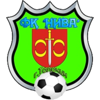 old logo of FK Niva Talačyn