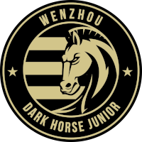 logo of Wenzhou Zhiye FC