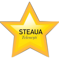 logo of FC Steaua Telenești