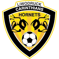 logo of Carinthians LIWOdruck Hornets