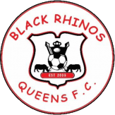 logo of Black Rhinos