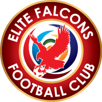 logo of Elite Falcons FC