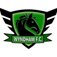 logo of Wyndham FC