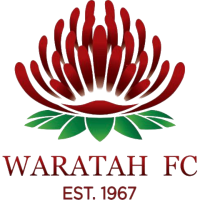logo of Orange Waratah FC
