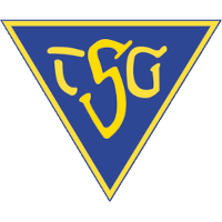 logo of TSG Dülmen
