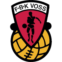 logo of FBK Voss