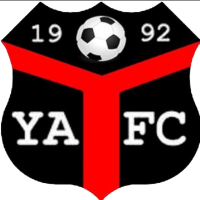 logo of Ynyshir Albions FC