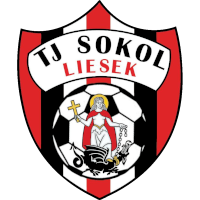 logo of TJ Sokol Liesek