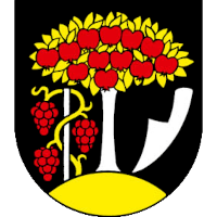 logo of 1. FC Černík