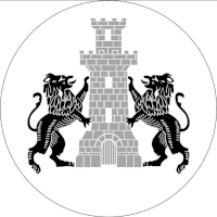 logo of CSM Cetatea Turnu Măgurele