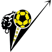 logo of Flèche Noire SC